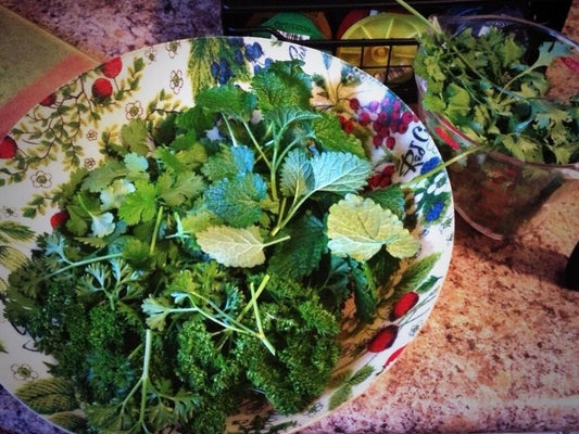 Quiz 24: Can you name this medicinal herb?