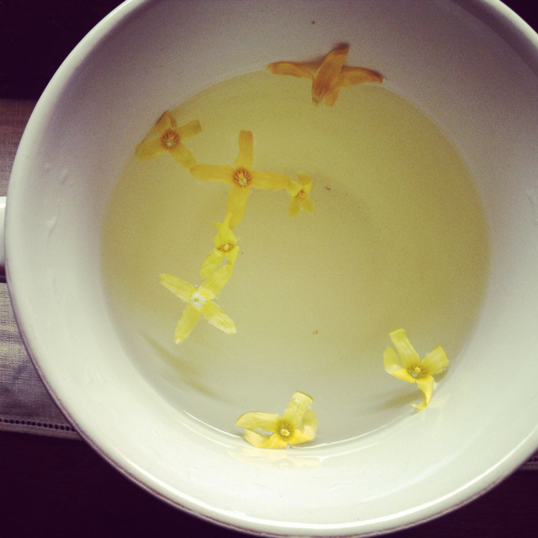 Quiz 6: Can you name this medicinal herb?