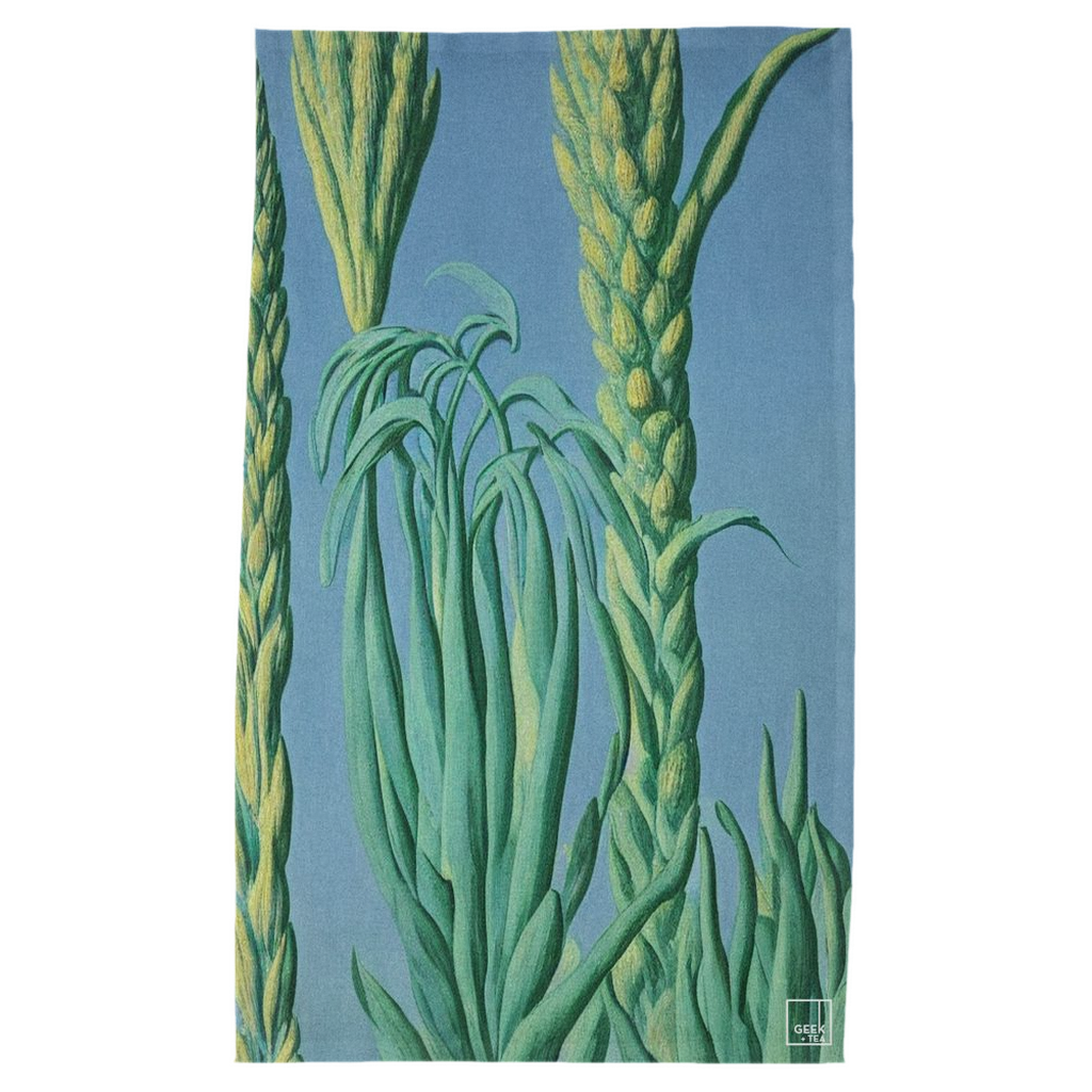 PalmGarden-EBGTeaTowel-CottonTwill-18x30