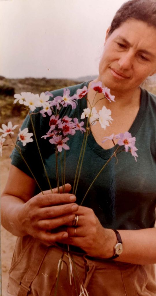 Women in Botany: An Advent Calendar | 2026 Geek+Tea Holiday Advent Calendar
