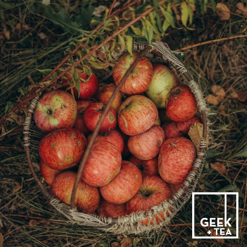 Madame Pomona's Spiced Apple Chai | Loose Leaf Herbal Tisane | Apple Spice Honeybush