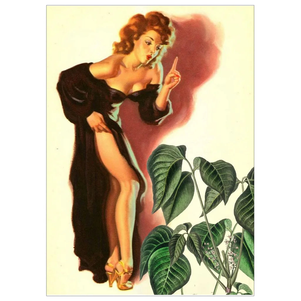 Bad Plant. Sit. Stay. botanical pin-up art